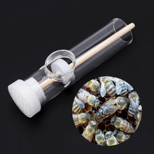 Load image into Gallery viewer, Style Glass Marker Bottle, Plastic King Catching Bottle, Bee Breeding Logo Tool Wholesale
