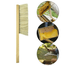 Load image into Gallery viewer, Beekeeping Equipment, Tools, Double Rows of Bee Brushes, Bristles and Horsetails with Plastic Handles.
