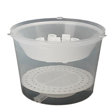 Load image into Gallery viewer, Bee Tools Wholesale Bee Tools Plastic Wasp Trap Trap Vespa Trap Bee Trap Assistant
