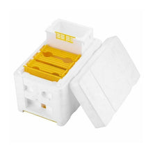 Load image into Gallery viewer, Beehive Foam Feeder 3-box Mini Bee Incubator Can Raise Beekeeping Tools for Cultivating Queen Bees
